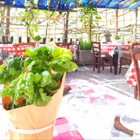 Bed & Breakfast Il Pettirosso *